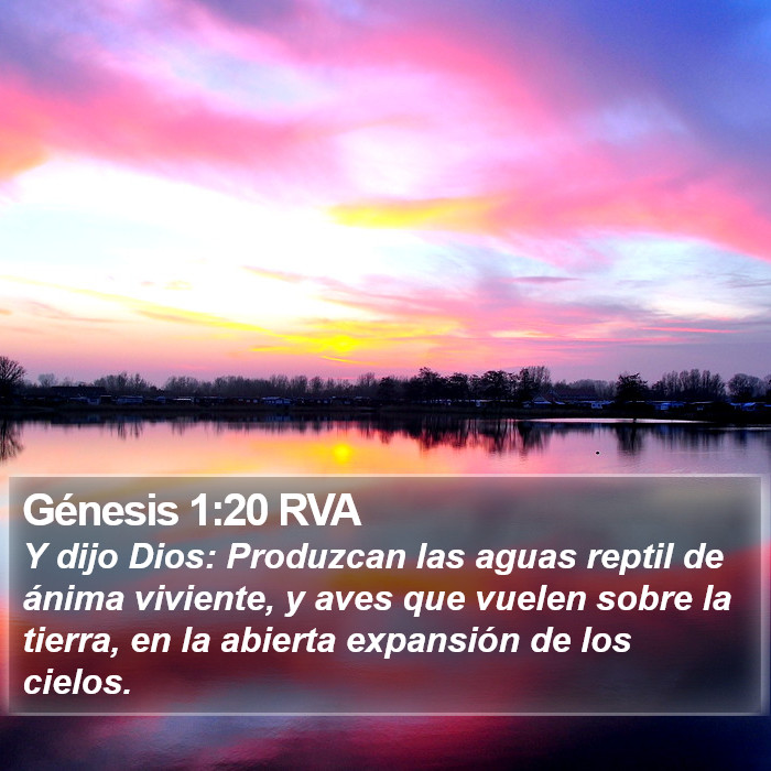 Génesis 1:20 RVA Bible Study