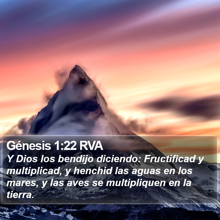 Génesis 1:22 RVA Bible Study