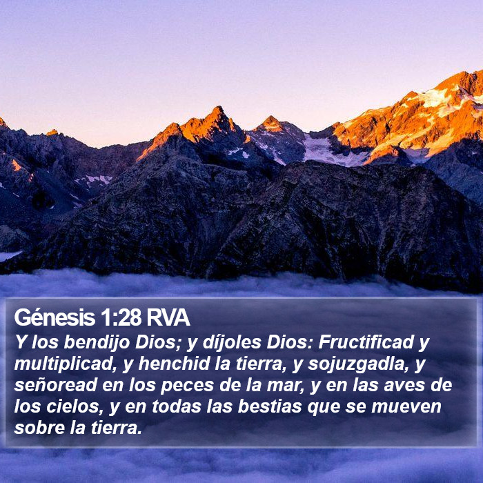 Génesis 1:28 RVA Bible Study