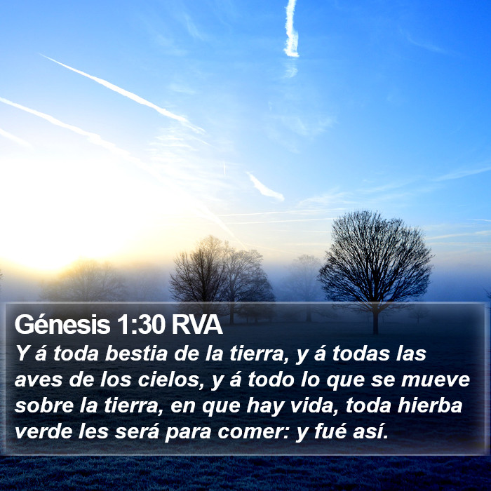 Génesis 1:30 RVA Bible Study