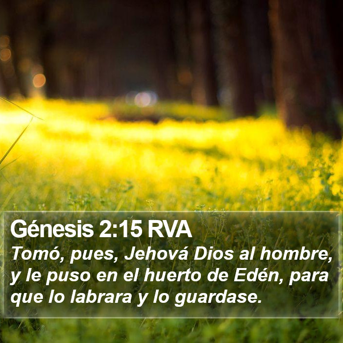 Génesis 2:15 RVA Bible Study