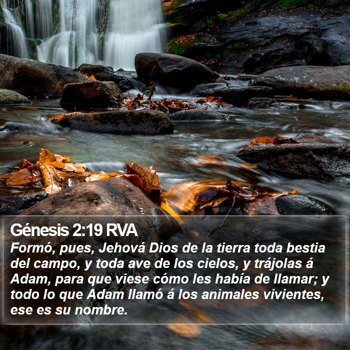 Génesis 2:19 RVA Bible Study