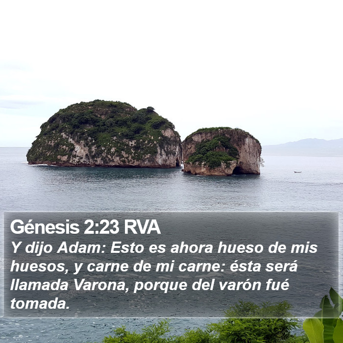 Génesis 2:23 RVA Bible Study