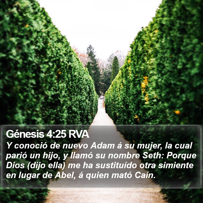 Génesis 4:25 RVA Bible Study