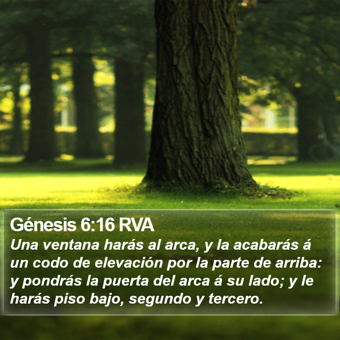 Génesis 6:16 RVA Bible Study