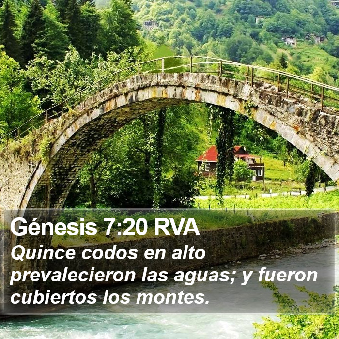 Génesis 7:20 RVA Bible Study