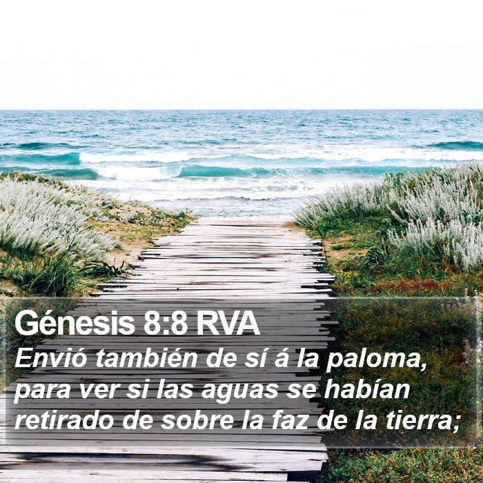 Génesis 8:8 RVA Bible Study