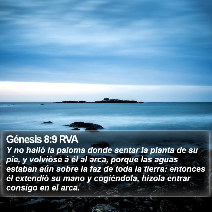 Génesis 8:9 RVA Bible Study