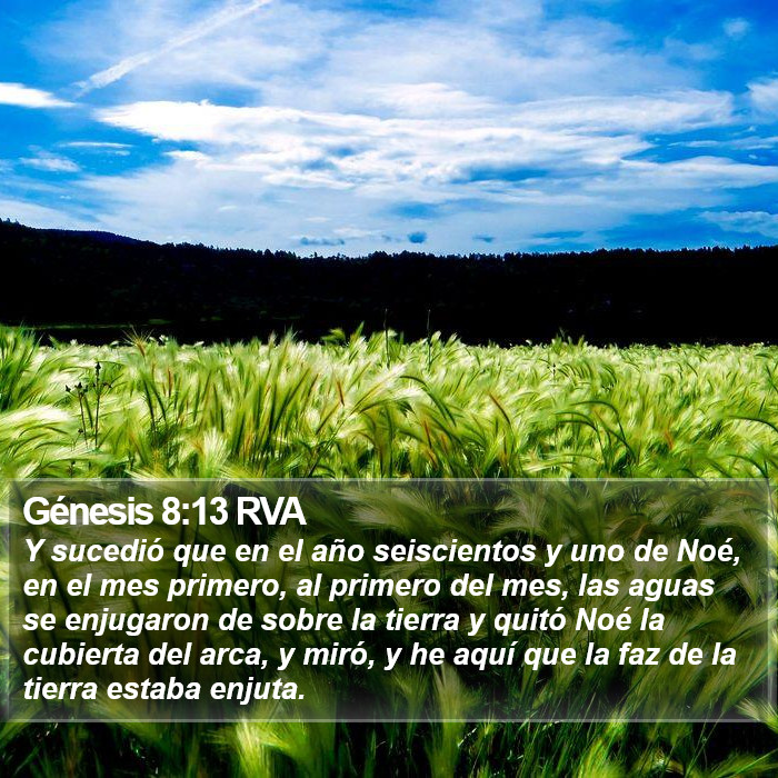 Génesis 8:13 RVA Bible Study