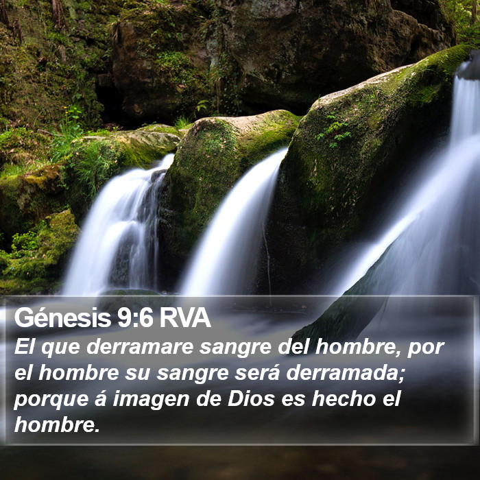 Génesis 9:6 RVA Bible Study