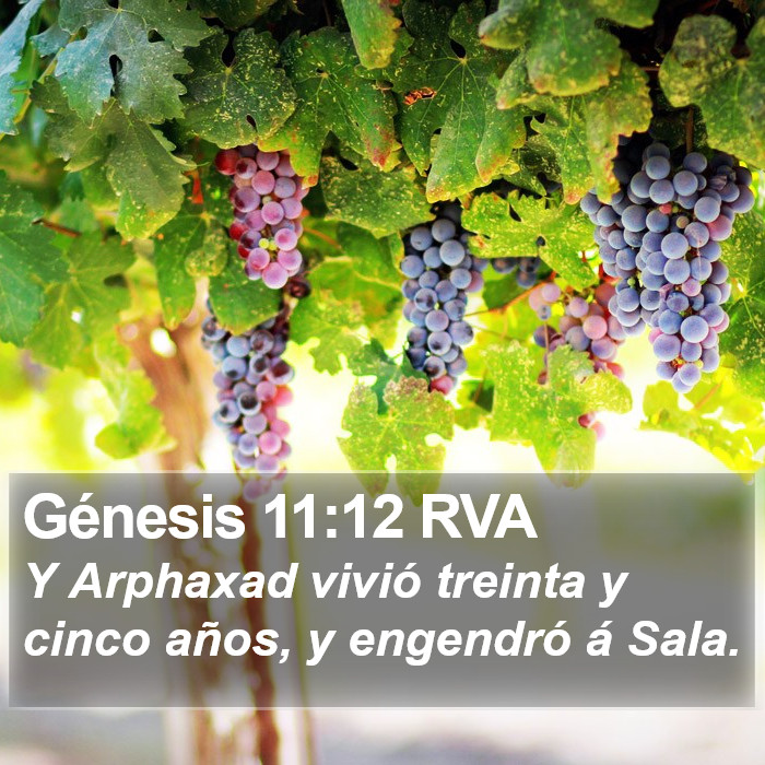 Génesis 11:12 RVA Bible Study