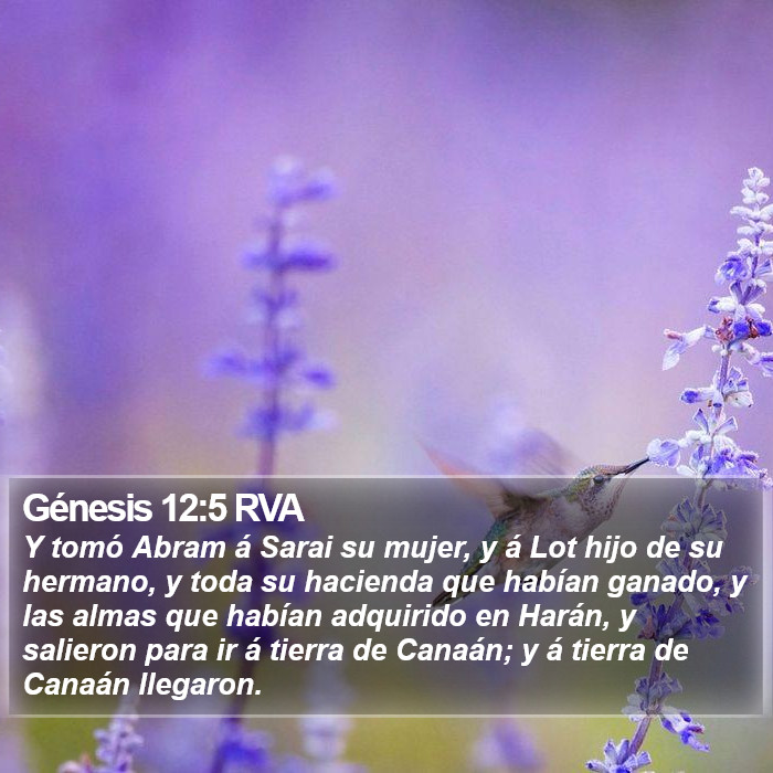 Génesis 12:5 RVA Bible Study