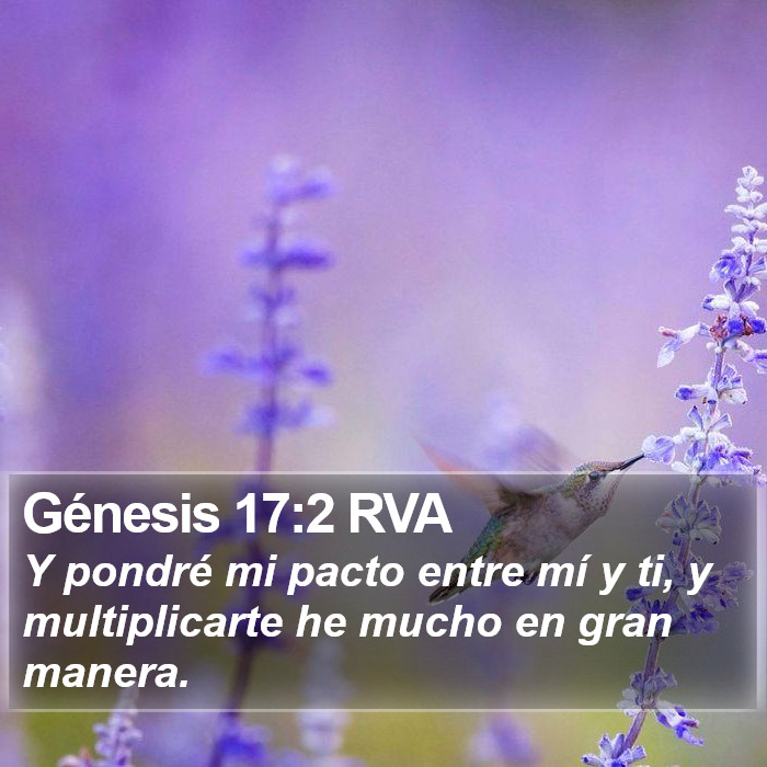 Génesis 17:2 RVA Bible Study