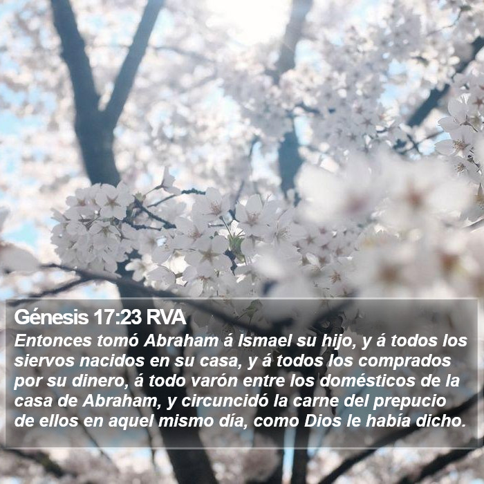 Génesis 17:23 RVA Bible Study