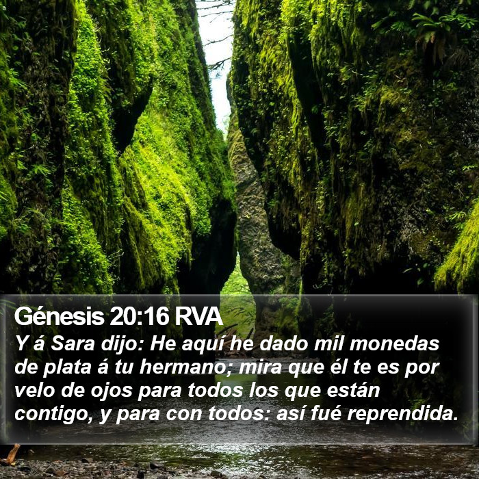 Génesis 20:16 RVA Bible Study