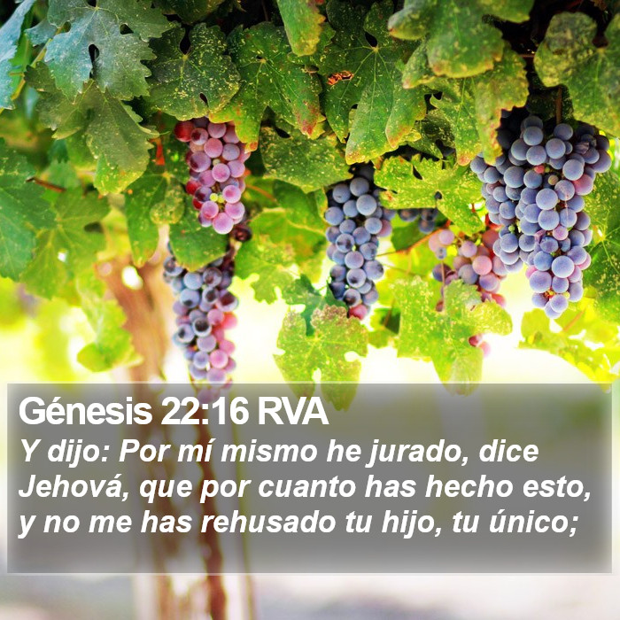 Génesis 22:16 RVA Bible Study