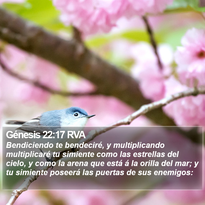 Génesis 22:17 RVA Bible Study