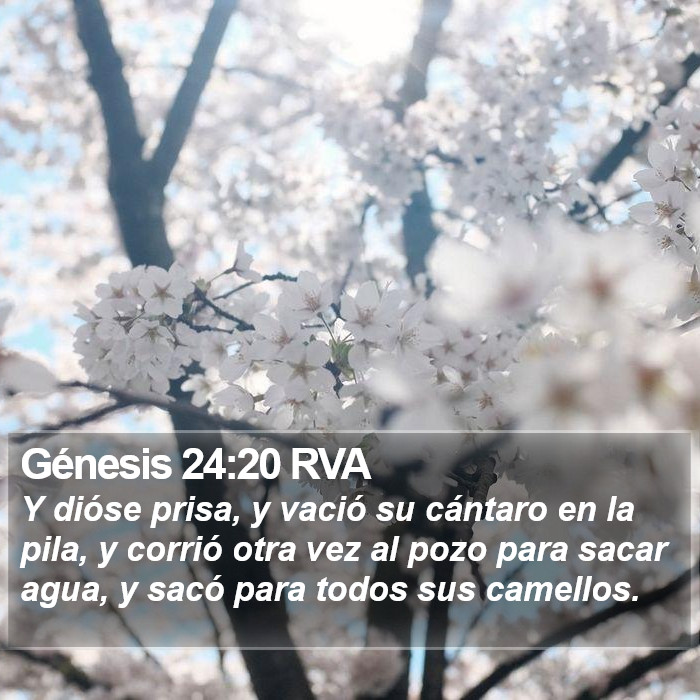 Génesis 24:20 RVA Bible Study