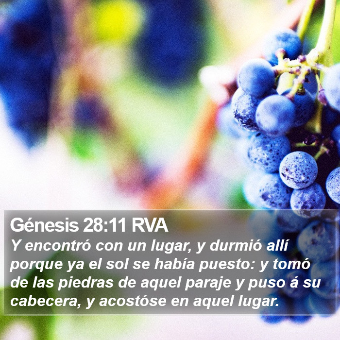 Génesis 28:11 RVA Bible Study