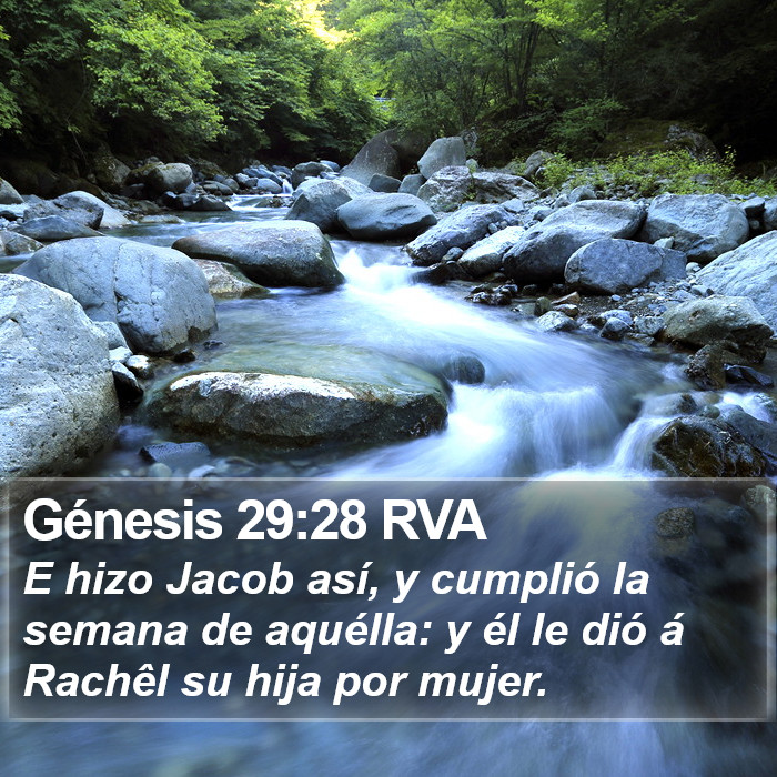 Génesis 29:28 RVA Bible Study