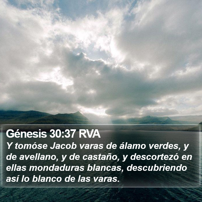 Génesis 30:37 RVA Bible Study