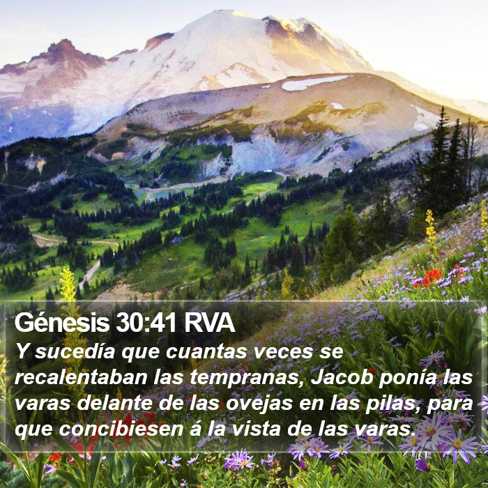 Génesis 30:41 RVA Bible Study