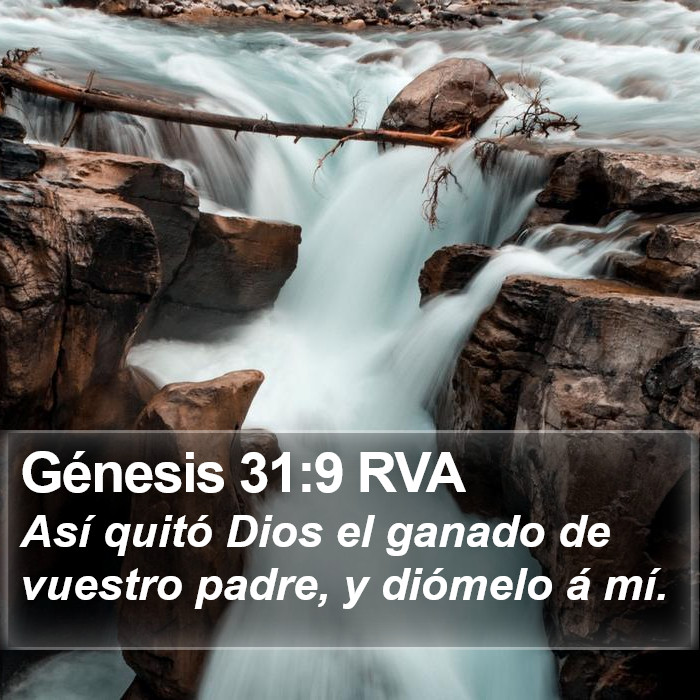 Génesis 31:9 RVA Bible Study