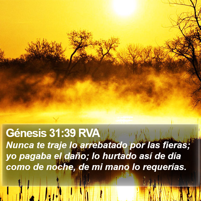 Génesis 31:39 RVA Bible Study