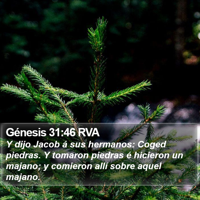 Génesis 31:46 RVA Bible Study