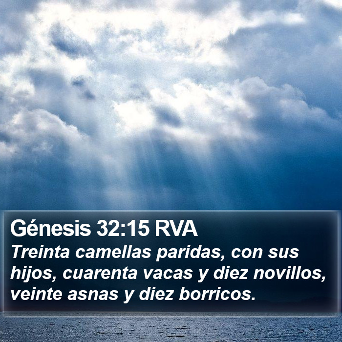 Génesis 32:15 RVA Bible Study