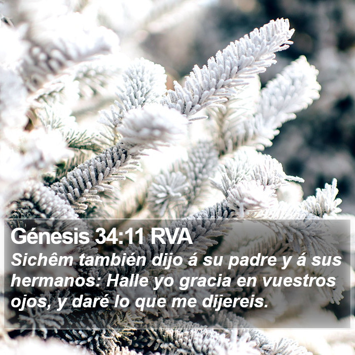 Génesis 34:11 RVA Bible Study