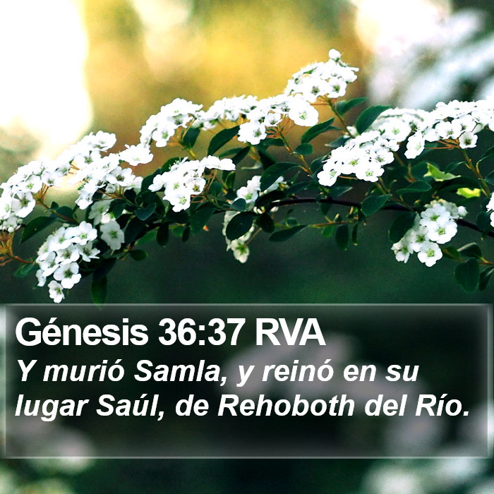 Génesis 36:37 RVA Bible Study