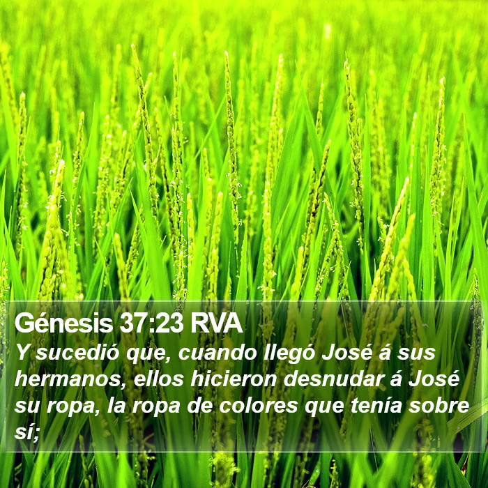 Génesis 37:23 RVA Bible Study