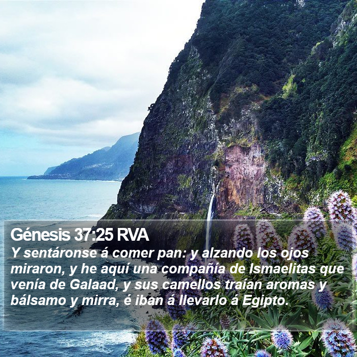 Génesis 37:25 RVA Bible Study