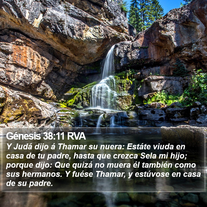 Génesis 38:11 RVA Bible Study