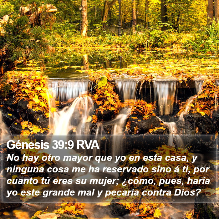 Génesis 39:9 RVA Bible Study