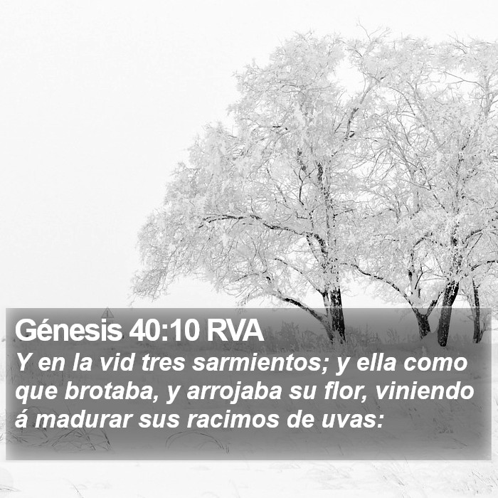 Génesis 40:10 RVA Bible Study