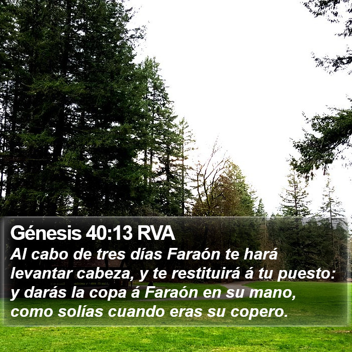 Génesis 40:13 RVA Bible Study