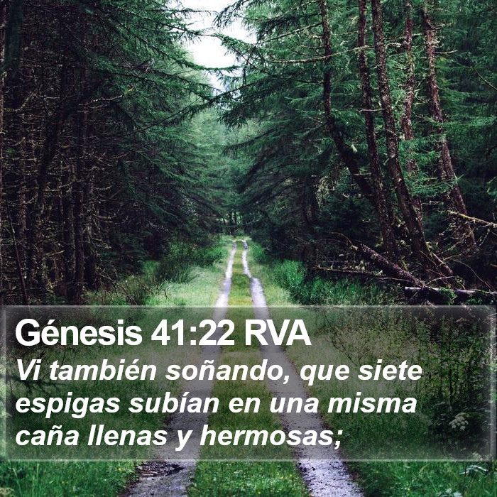 Génesis 41:22 RVA Bible Study