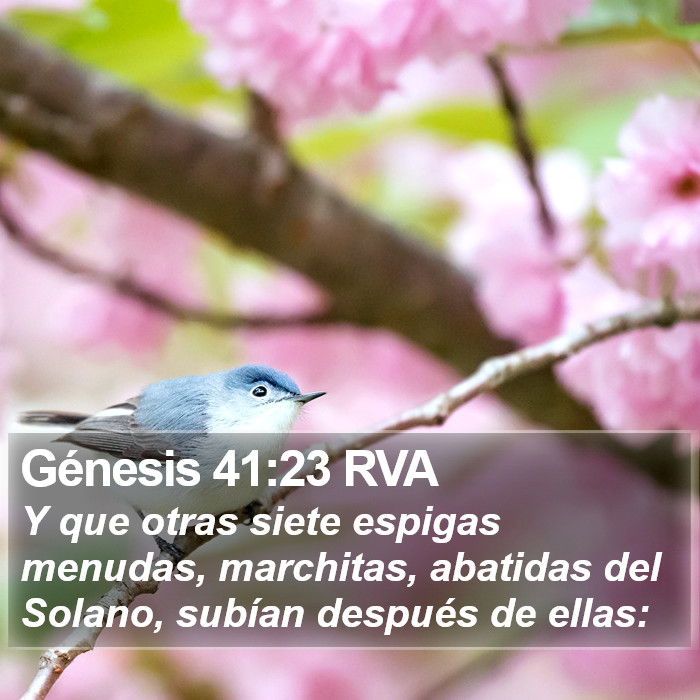 Génesis 41:23 RVA Bible Study