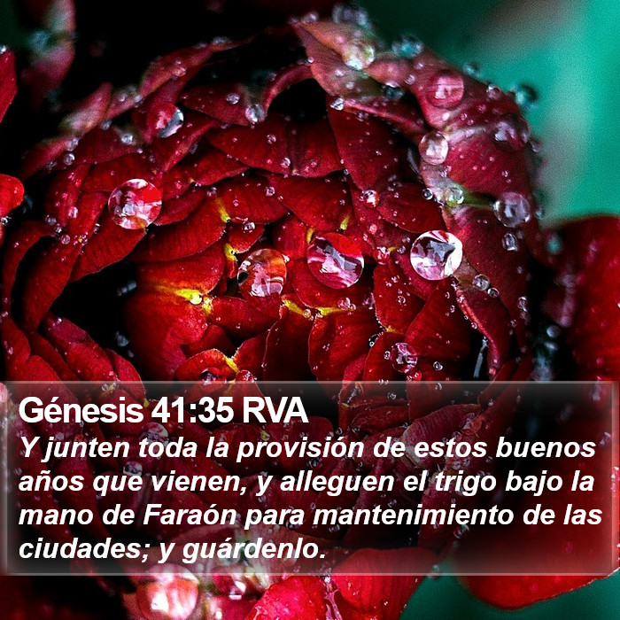 Génesis 41:35 RVA Bible Study