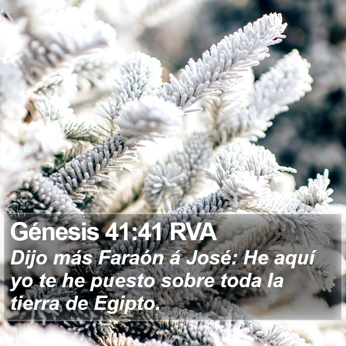 Génesis 41:41 RVA Bible Study