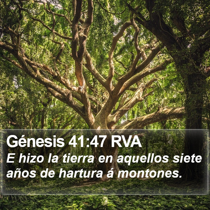 Génesis 41:47 RVA Bible Study