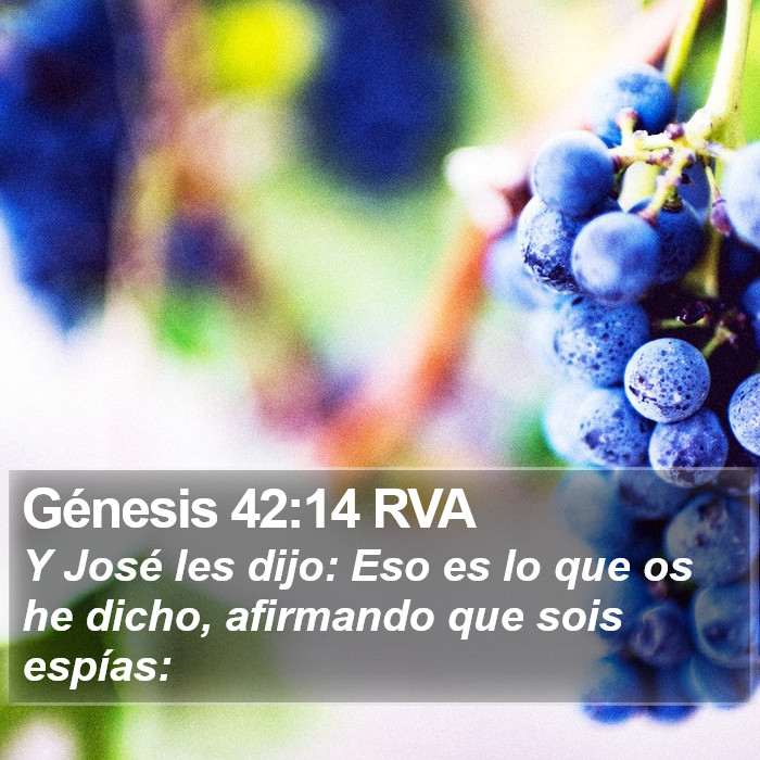 Génesis 42:14 RVA Bible Study