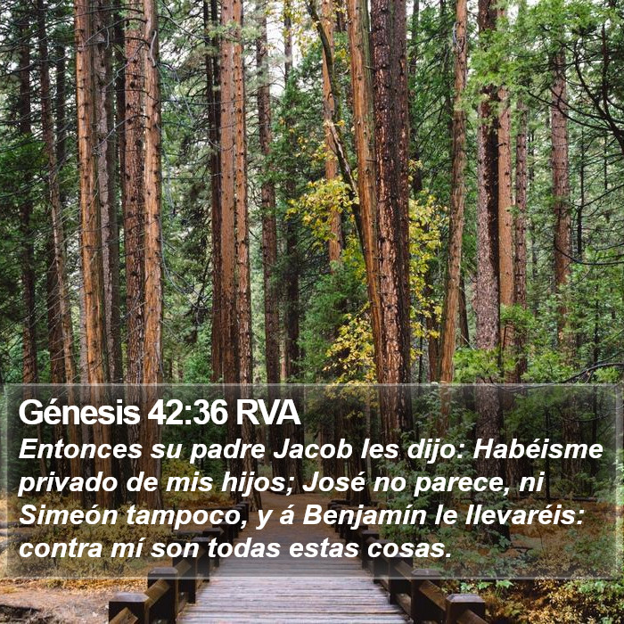 Génesis 42:36 RVA Bible Study