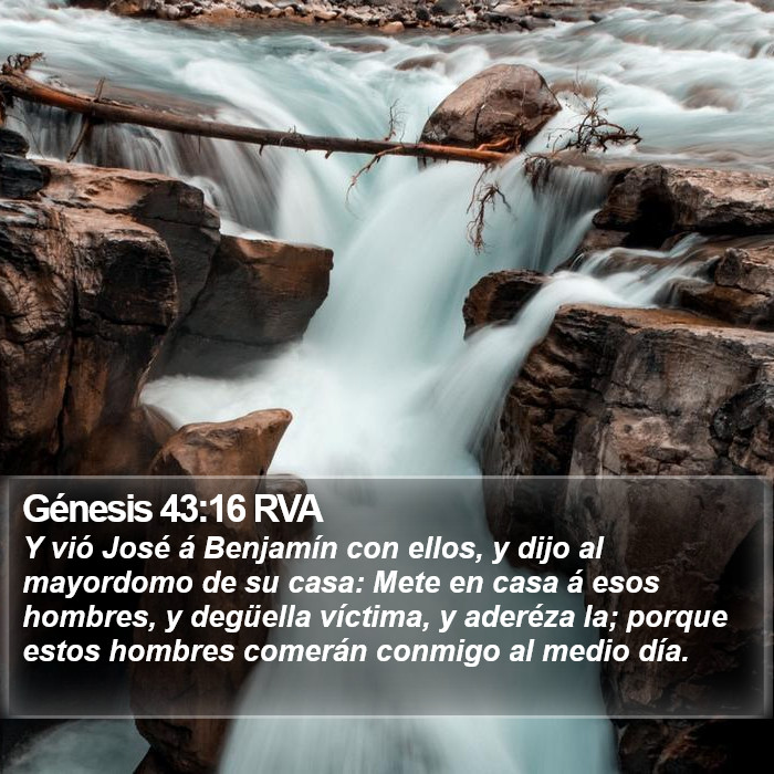 Génesis 43:16 RVA Bible Study