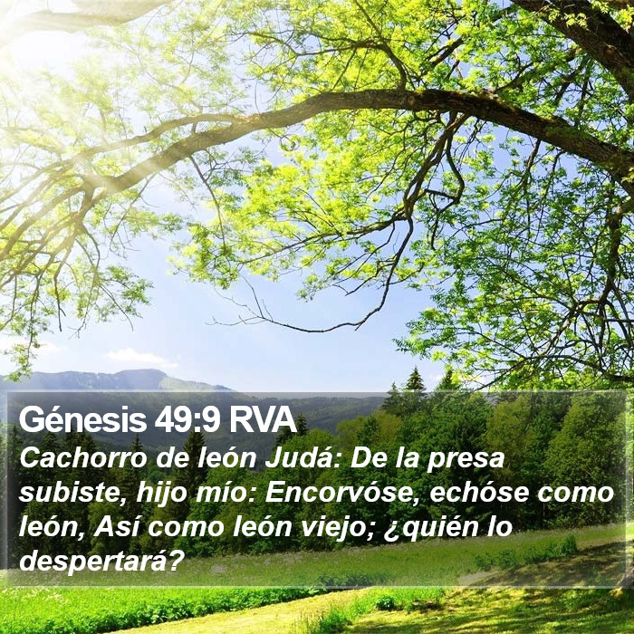 Génesis 49:9 RVA Bible Study