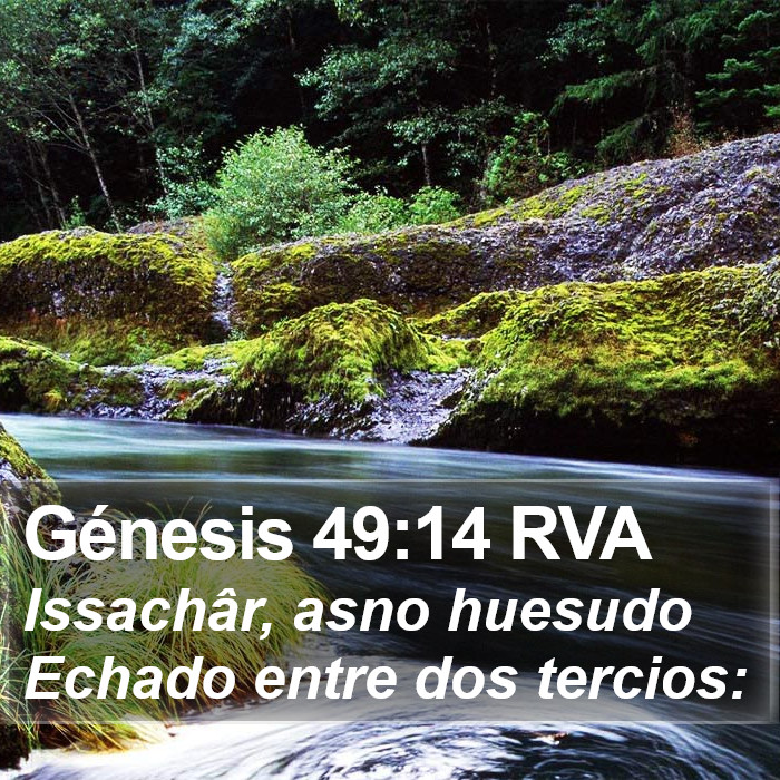 Génesis 49:14 RVA Bible Study