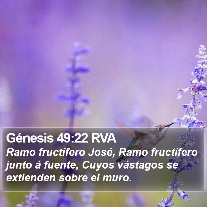 Génesis 49:22 RVA Bible Study