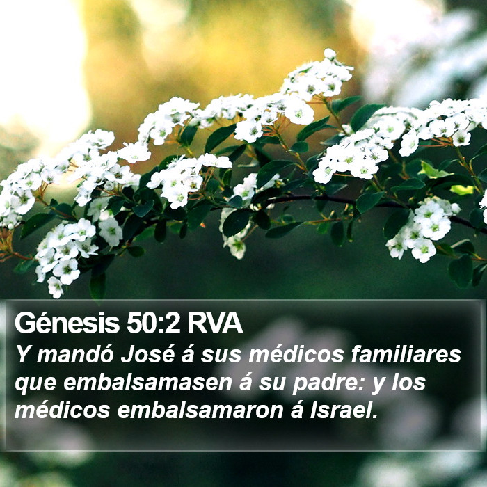 Génesis 50:2 RVA Bible Study